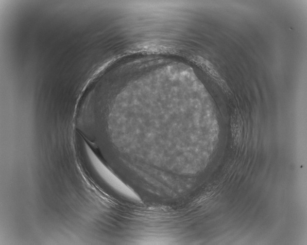 X0000067850488200605041719