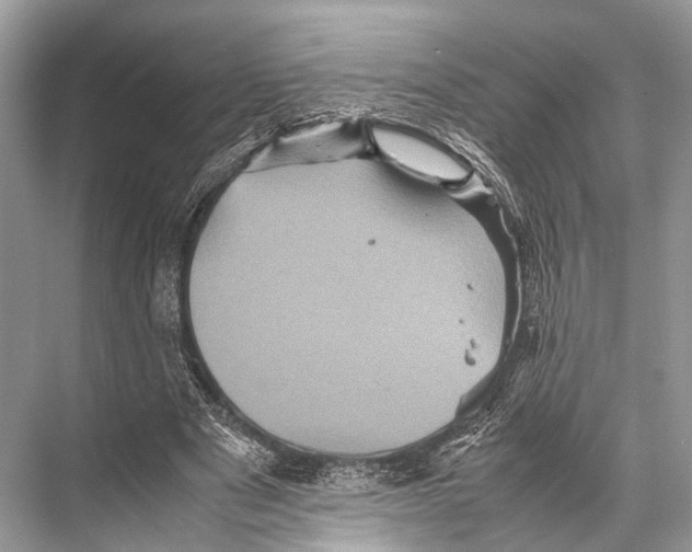 X0000067850489200605041719