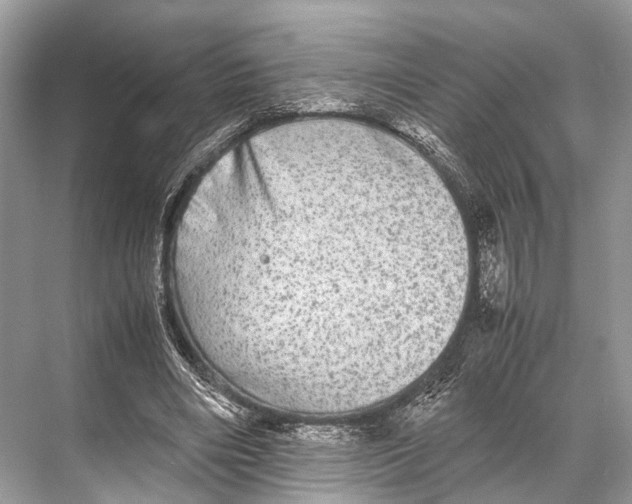 X0000067850490200605041719