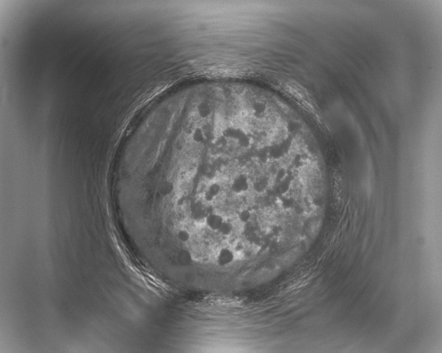 X0000067850491200605041719