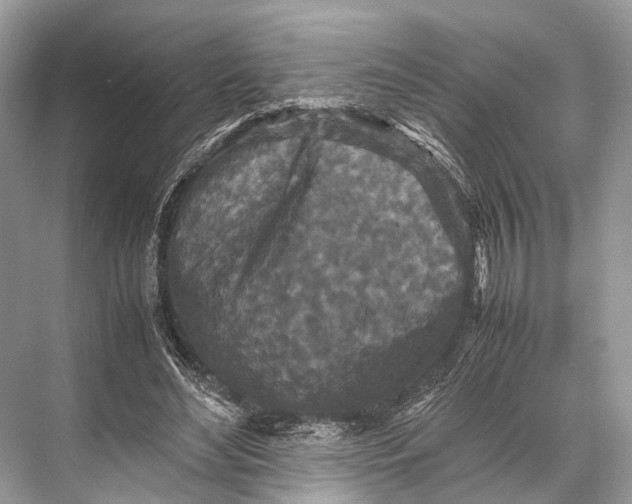 X0000067850492200605041719