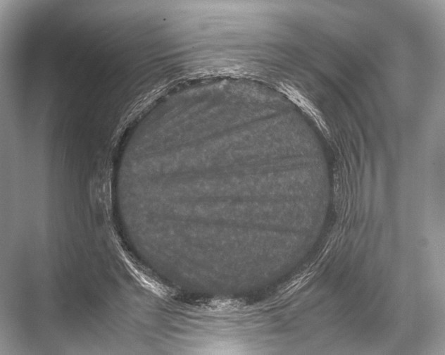 X0000067850493200605041719