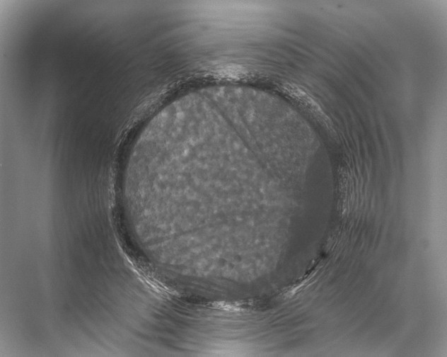 X0000067850496200605041719