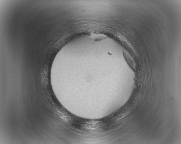 X0000067850497200605041719