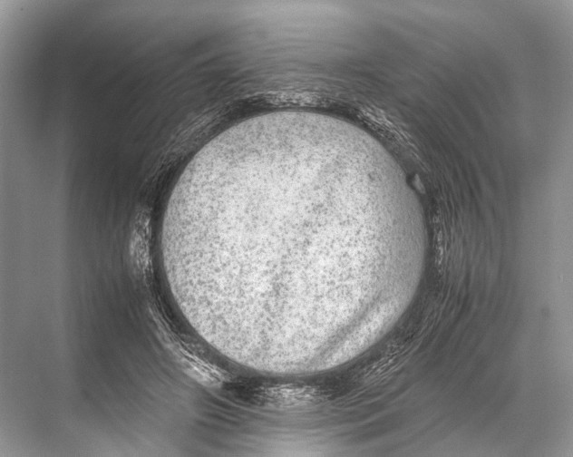 X0000067850498200605041719