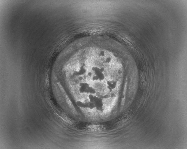 X0000067850499200605041719