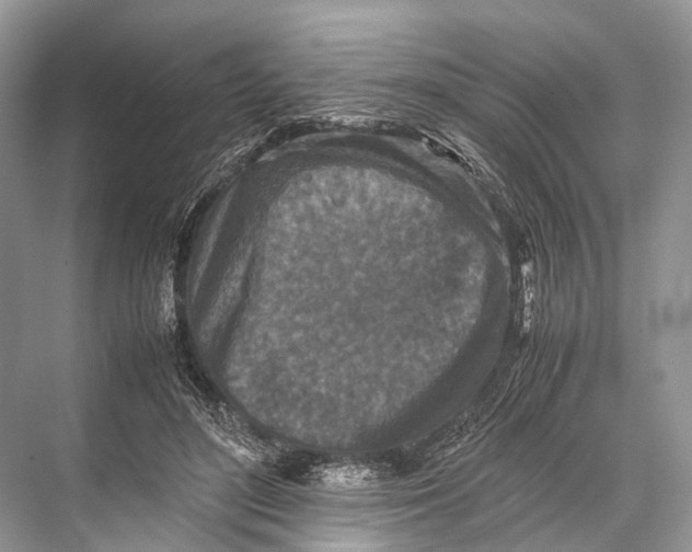 X0000067850500200605041719