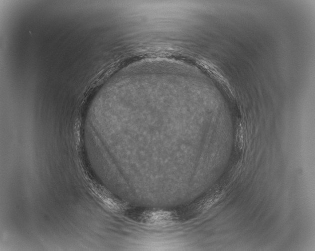 X0000067850501200605041719