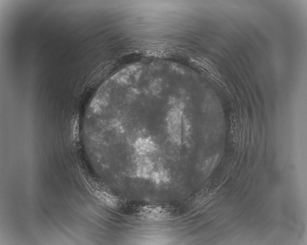 X0000067850502200605041719