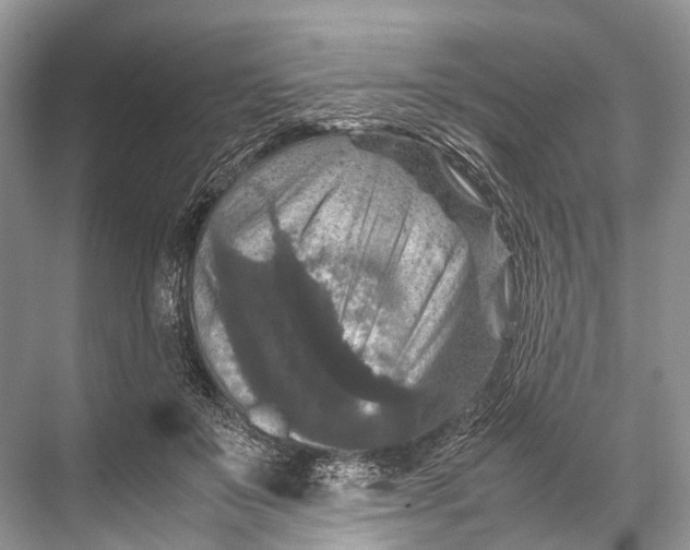 X0000067850503200605041719