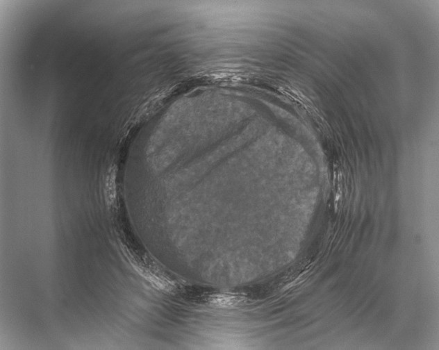 X0000067850504200605041719