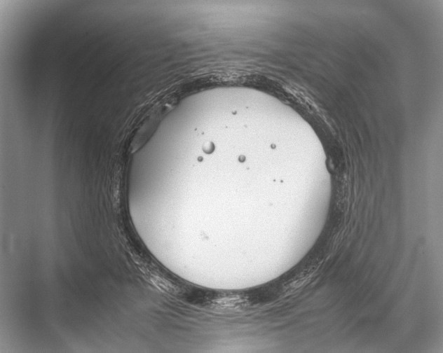 X0000067850505200605041719