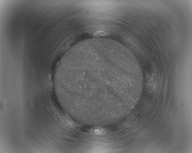 X0000067850506200605041719