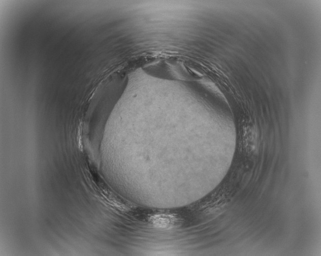 X0000067850508200605041719