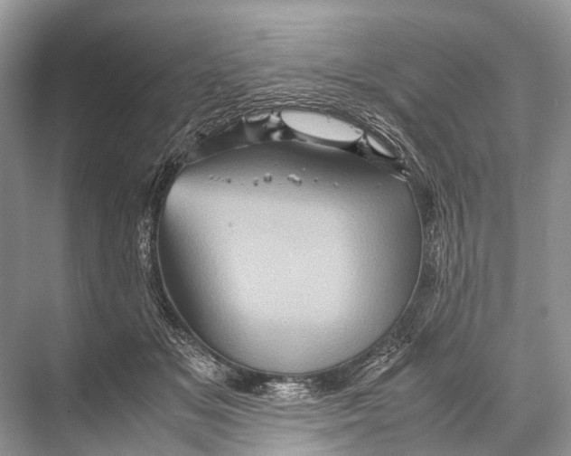 X0000067850509200605041719