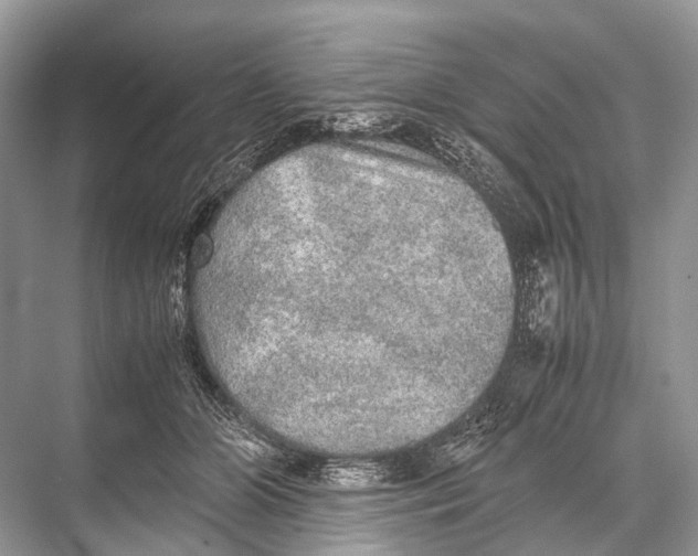 X0000067850510200605041719