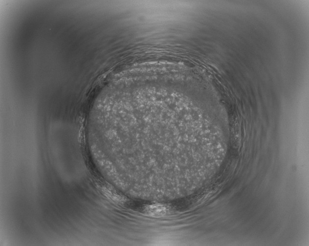 X0000067850511200605041719