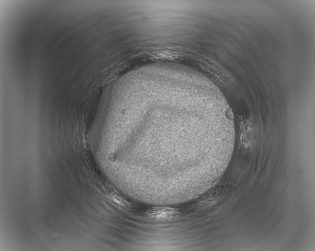 X0000067850514200605041719