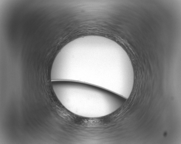 X0000067850517200605041719