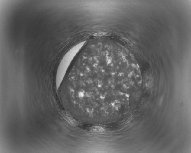 X0000067850519200605041719