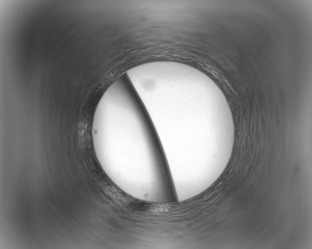 X0000067850521200605041719