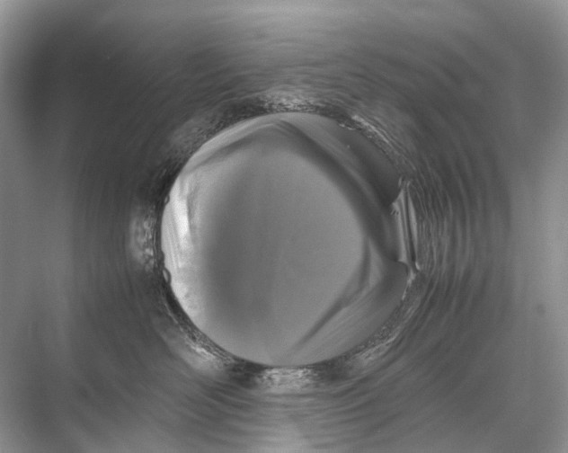 X0000067850526200605041718