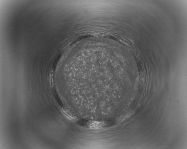 X0000067850527200605041718