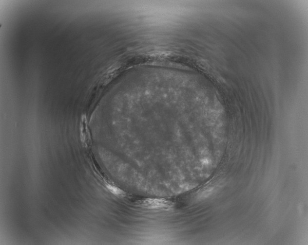 X0000067850528200605041718