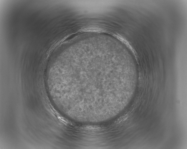 X0000067850529200605041718