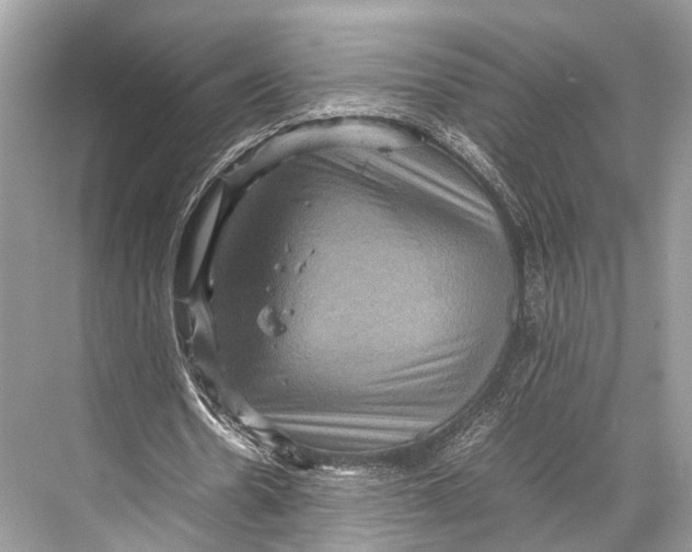 X0000067850530200605041718