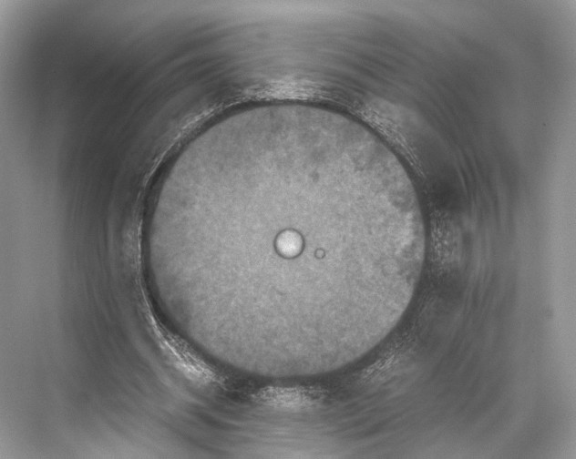 X0000067850534200605041718