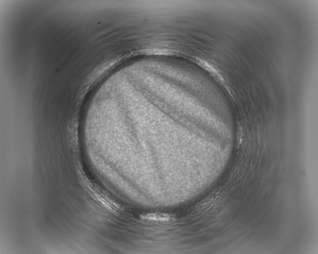 X0000067850535200605041718