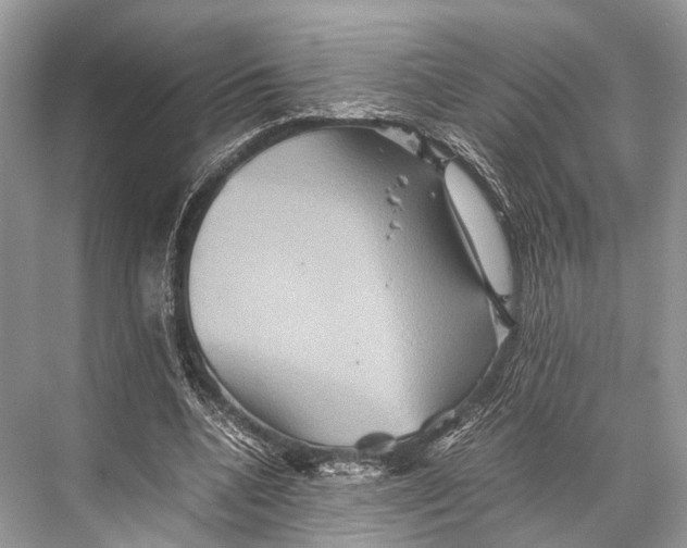 X0000067850536200605041718