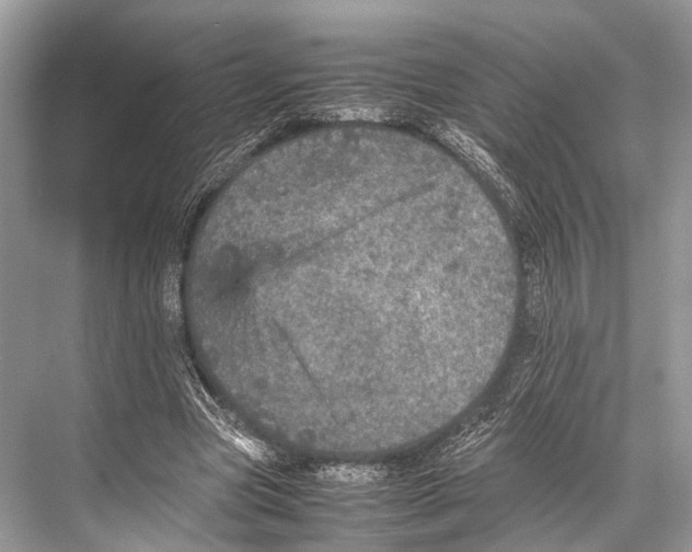 X0000067850537200605041718