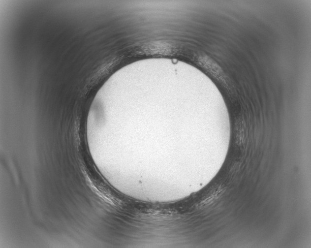 X0000067850538200605041718