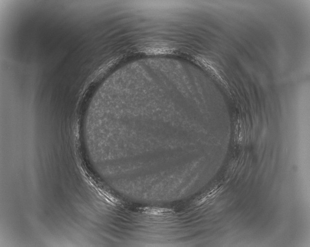 X0000067850539200605041718