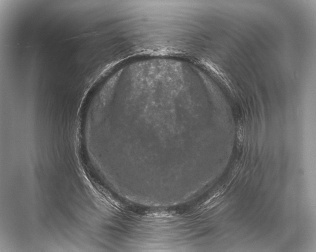 X0000067850540200605041718