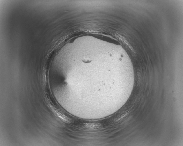 X0000067850541200605041718