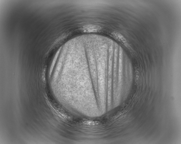 X0000067850543200605041718