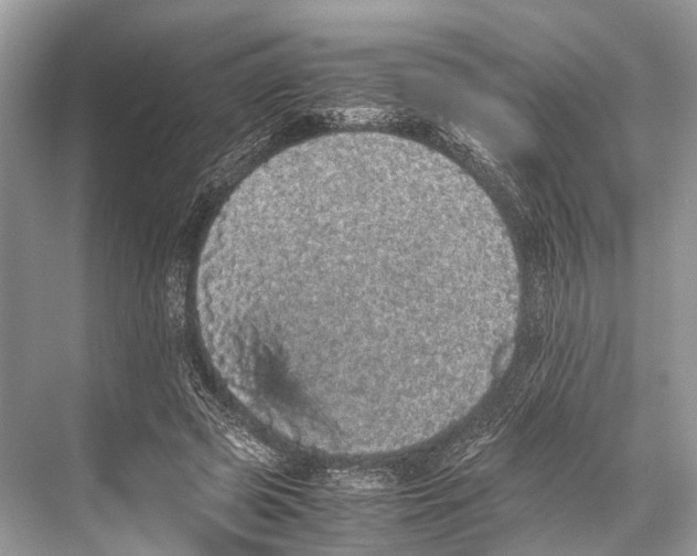 X0000067850545200605041718