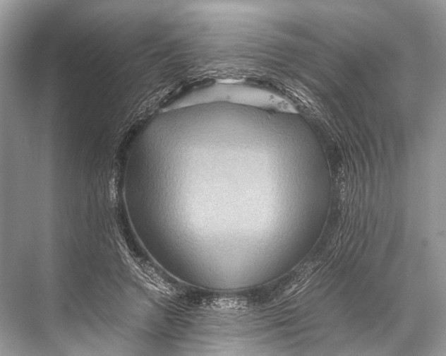 X0000067850546200605041718