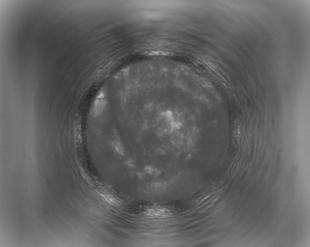 X0000067850547200605041718