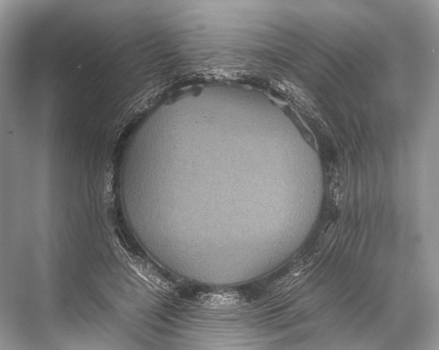 X0000067850548200605041718