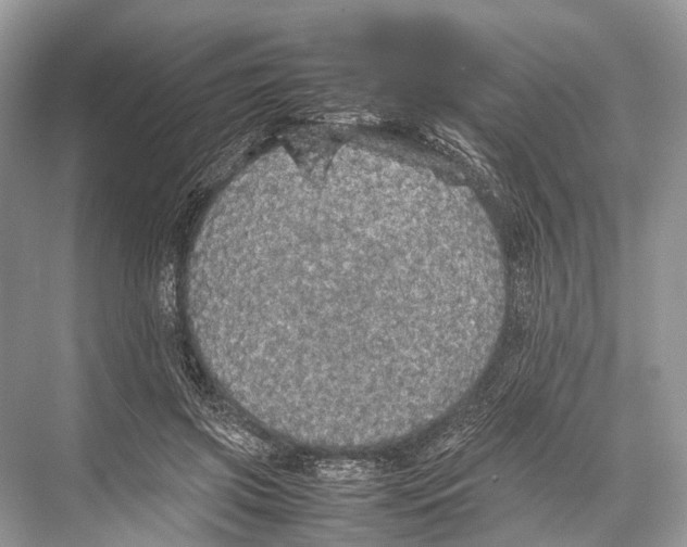 X0000067850549200605041718