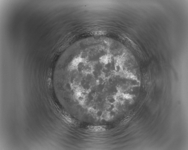 X0000067850553200605041718