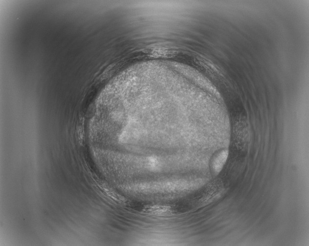 X0000067850554200605041718