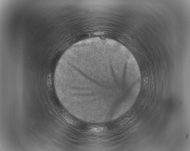 X0000067850555200605041718