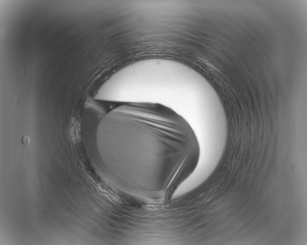 X0000067850556200605041718