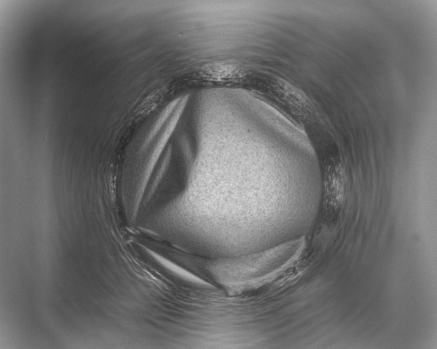 X0000067850558200605041718