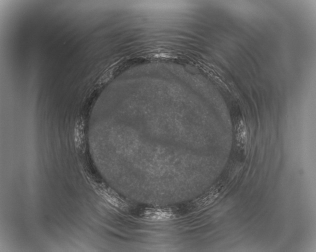 X0000067850559200605041718